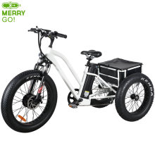 Hot Selling 48V 500W Fat Tyre Electric Tricycle with Cabin for Adults